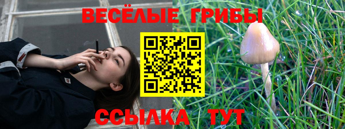 Галлюциногенные грибы GOLDEN TEACHER  Галлюциногенные грибы GOLDEN TEACHER  Ставрополь  дарнет шоп  Вход с VPN 